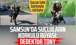 Samsun'da suçluların korkulu rüyası: Dedektör Tony