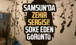 Samsun'da zehir sergisi! Şoke eden görüntü