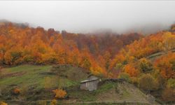 Samsun Fotoğrafçılar Derneği ile "Sonbahar Kareleri" Etkinliği