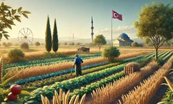Üniversite Sonrası Samsun’da Kalmak: Mezunlar İçin İş Fırsatları