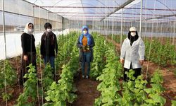 Samsun’da Kadınların Katıldığı Sosyal Aktiviteler: Kooperatif, Üretim, Doğa