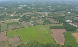 Çarşamba Ovası’nda Agroekoloji ve Toprak Sağlığı