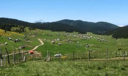 Samsun’un En Güzel Trekking Rotaları: Doğa ve Tarih İç İçe
