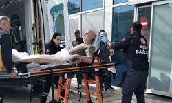 Samsun’un En Sessiz Yaylaları: Şehirden Uzaklaşmak İsteyenlere