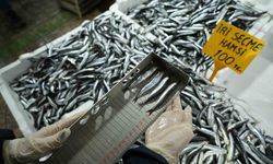 Balık tezgahlarına yakın markaj: 109 kişi ve işletmeye 2,5 milyon TL ceza