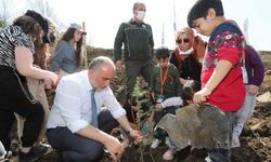 Canik’te fidanlar toprakla buluştu