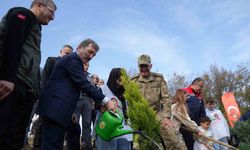 Samsun’da Milli Ağaçlandırma Günü: 37 bin 380 adet fidan toprakla buluştu