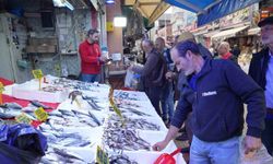 Tezgahlarda hamsi bolluğu