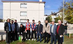 Vezirköprü’de Gazze ve şehitler için fidanlar toprakla buluştu