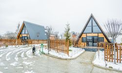 Kızılırmak Deltası’nda Kışın Kuş Gözlem Deneyimi