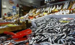 Samsun’da Balık Kültürü: Hangi Mevsimde Ne Yenir?