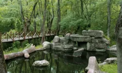 Samsun’da Görülmesi Gereken 15 Doğal Güzellik