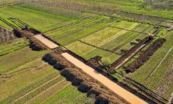 Çarşamba Ovası’nda yeşilin her tonu