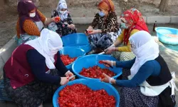 Samsun Esnafının Kış Hazırlığı: Küçük İşletmelerin Dayanışması