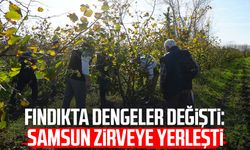 Fındıkta dengeler değişti: Samsun zirveye yerleşti