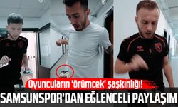 Samsunspor'dan eğlenceli paylaşım!
