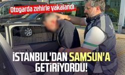 İstanbul'dan Samsun'a getiriyordu! Zehirle yakalandı