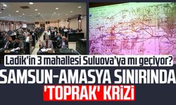 Samsun-Amasya sınırında 'toprak' krizi: 500 dönümlük alan tartışması