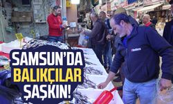 Samsun'da balıkçılar şaşkın! Fiyat azaldı ama...