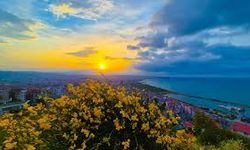 Samsun’da Doğayla İç İçe Yaşam: Şehirden Uzaklaşmadan Huzur