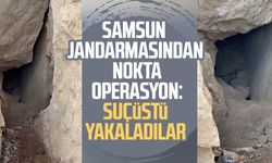 Samsun jandarmasından nokta operasyon: Suçüstü yakaladılar