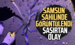Samsun sahilinde görüntülendi: Şaşırtan olay