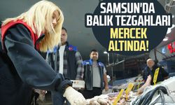 Samsun'da balık tezgahları mercek altında: Ceza yağdı