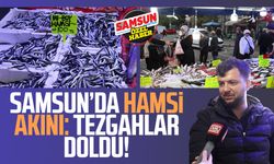 Samsun’da hamsi akını: Tezgahlar doldu!