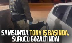 Samsun'da Tony iş başında, sürücü gözaltında!