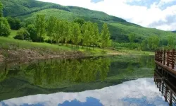 Samsun’da Sürdürülebilir Yaşam: Doğa Dostu Alışkanlıklar