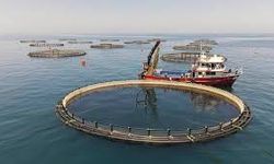 Yakakent’te Kış Denizi ve Balıkçıların Günlük Yaşamı