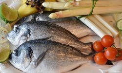 Yerel Balık Türleri ve Mevsimleri