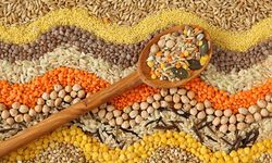 Samsun’da günlük yemeklerde sebze ve bakliyat dengesi