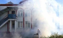 Kahverengi kokarca kışlak mücadelesi sürüyor