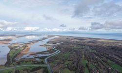 Kızılırmak Deltası’nda yer altı suları beslenemiyor: Her yıl su seviyesi düşüyor