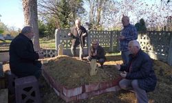 Köpeğin vefası: Sahibinin mezarından ayrılmayan köpek duygulandırdı