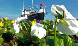 Samsun’da Mevsimlik Bitkilerin Halk Yaşamındaki Kullanımları