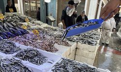 Samsun’un Kıyı Yaşamının Balık Tüketimine Yansıması