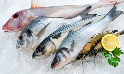 Samsun’un Deniz Kültürünün Balık Tüketimine Yansıması