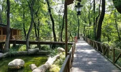 Samsun’da Keşfedilmeyi Bekleyen Saklı Rotalar