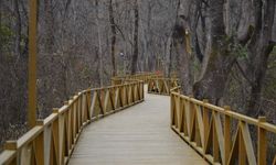 Samsun’da Doğa Yürüyüşü Yapılacak En İyi Parkurlar