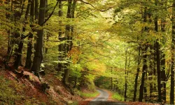 Samsun’da En Sevilen Yürüyüş Yolları