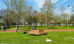 Samsun’un En Yeşil Parkları ve Doğayla Buluşma Noktaları