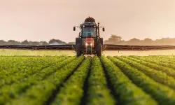 Samsun Kırsalında Mevsimsel Üretim Alışkanlıklarının Sürdürülmesi