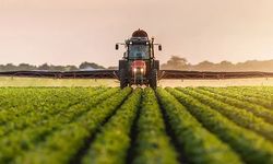 Samsun’da Kırsal Üretimin Şehir Ekonomisine Katkısı