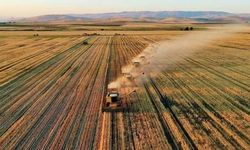 Samsun’da tarım ve hayvancılığın tarihsel rolü