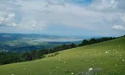 Samsun’da Yayla Kültürünün Tarihsel Gelişimi