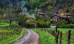 Samsun’da Köy Yaşamında Sürdürülen Geleneksel Üretim Biçimleri