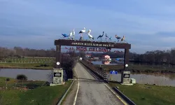 Kızılırmak Deltası Kuş Cenneti: Kapsamlı Rehber