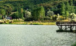 Samsun’da Dört Mevsimin Doğaya Bıraktığı İzler